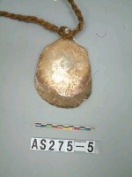 藏品(貝貨)的圖片